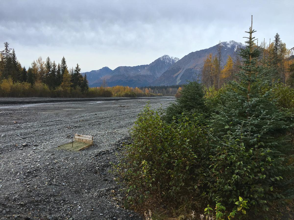 Glacier Creek Cabins Сьюард Экстерьер фото