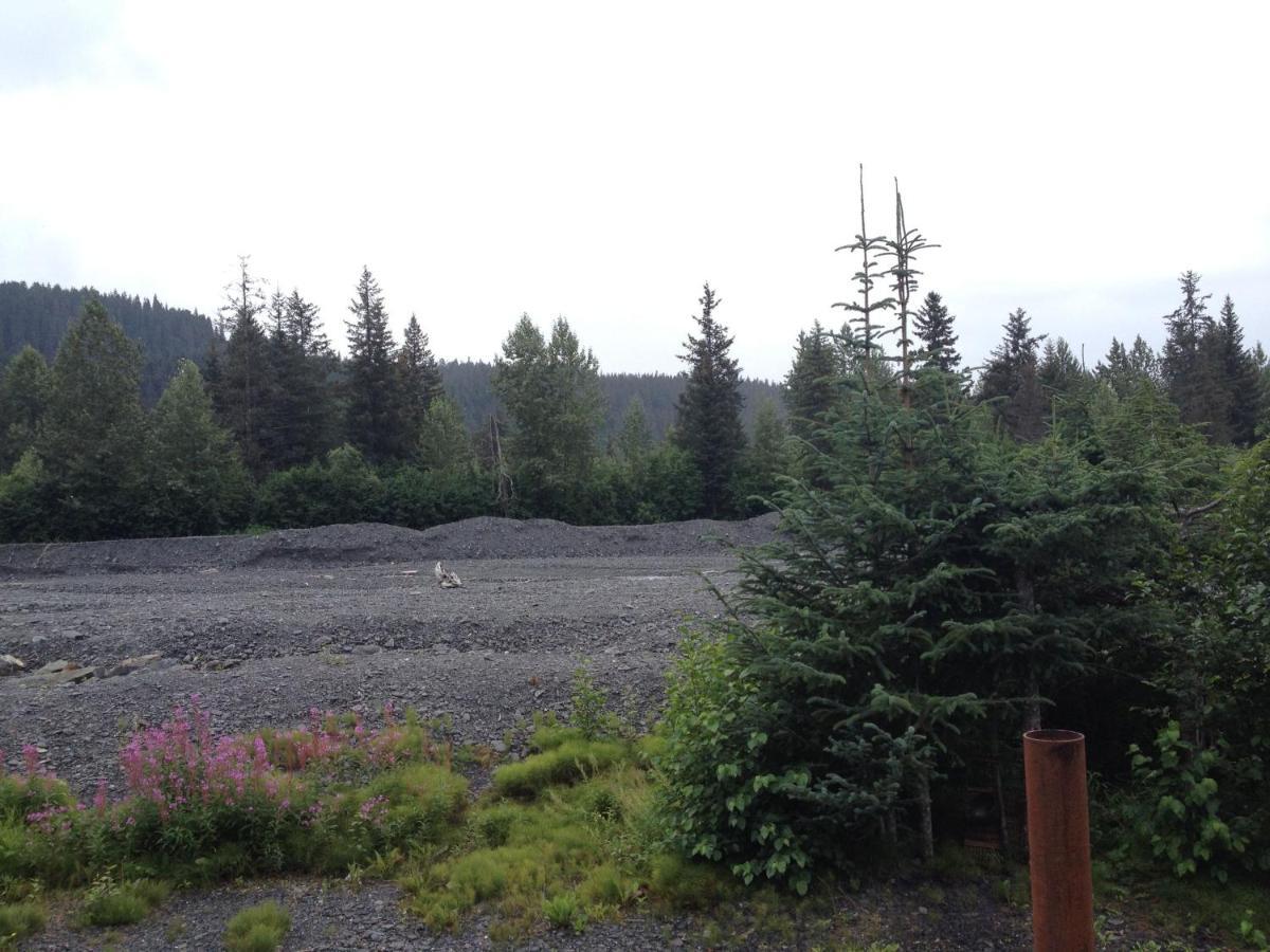 Glacier Creek Cabins Сьюард Номер фото